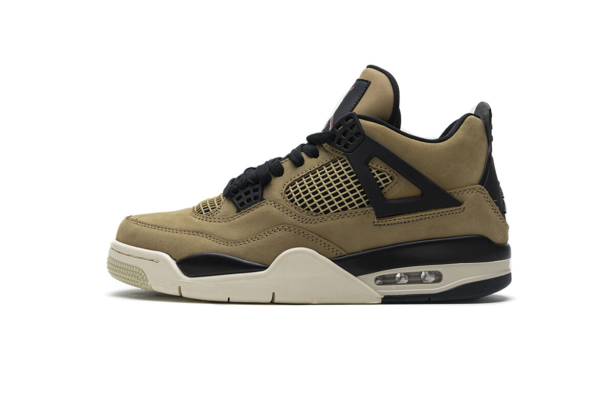 Air Jordan 4 Retro Fossil (W) AQ9129-200