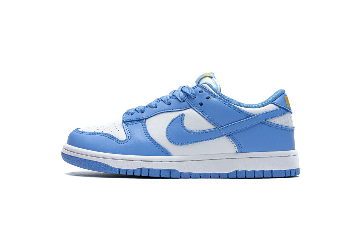 Nike Dunk Low Coast (W) DD1503-100