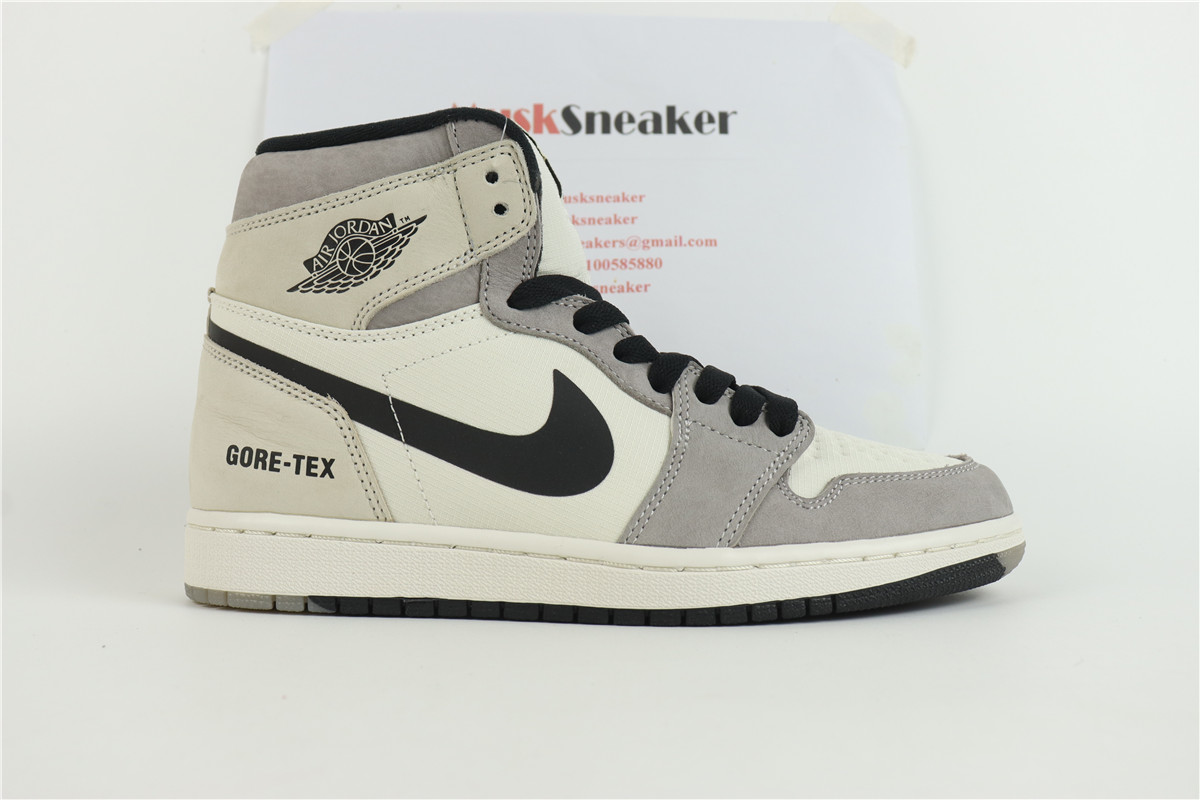 Air Jordan 1 High Element Gore-Tex Light Bone