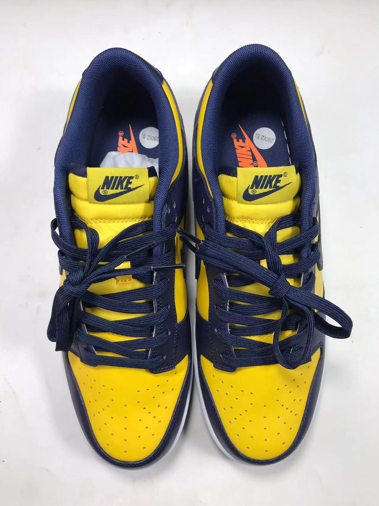 Nike Dunk Low Michigan(2021)