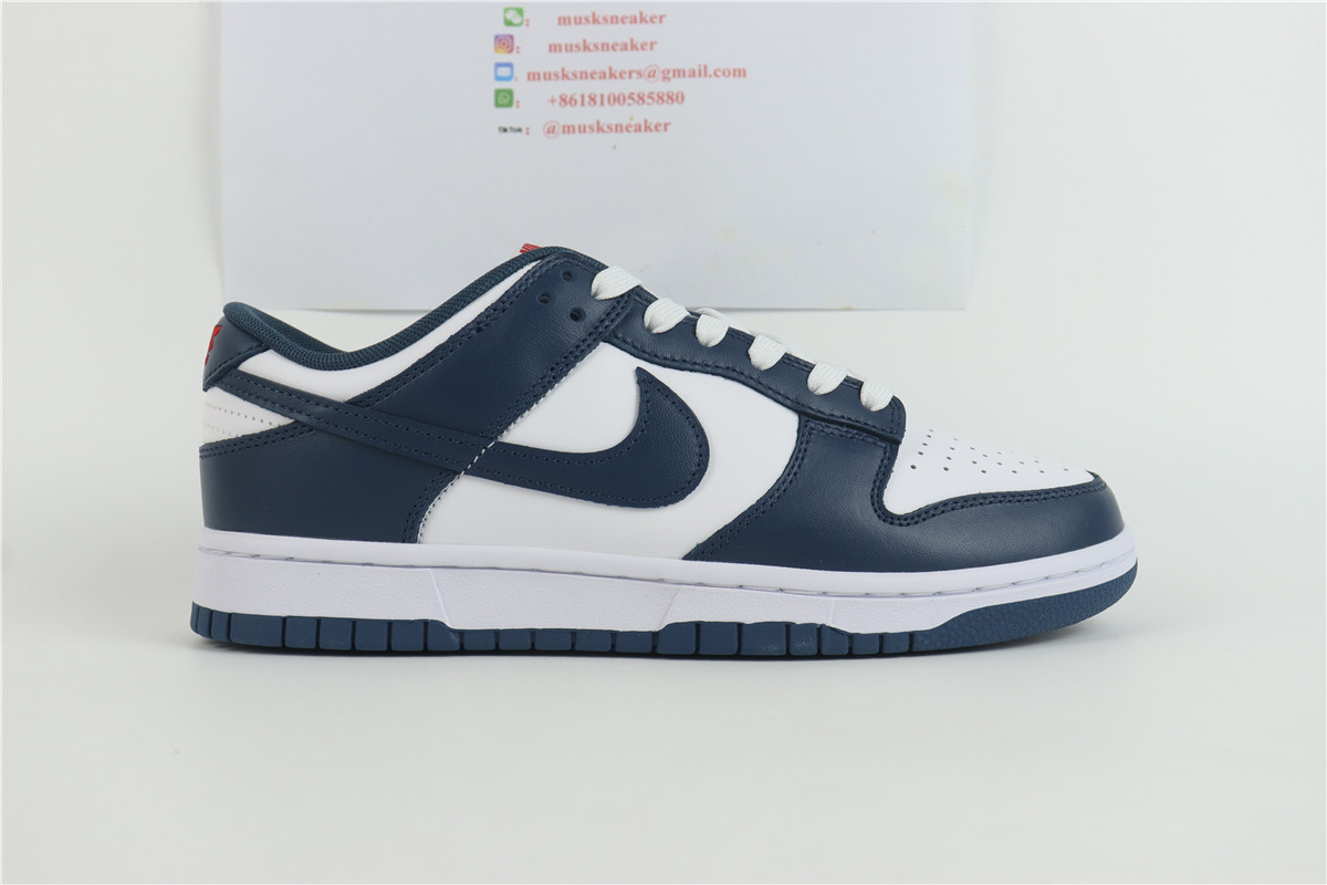 Nike Dunk Low Valerian Blue