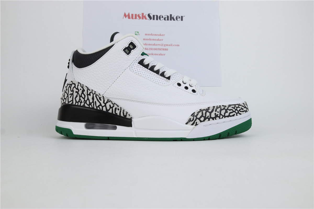 Air Jordan 3 Oregon