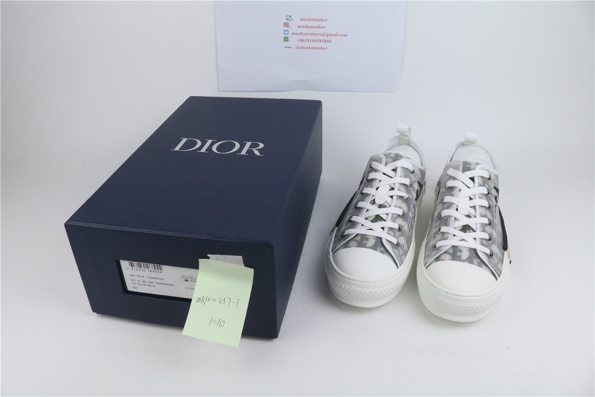 Dior B23 Low Top Logo Oblique