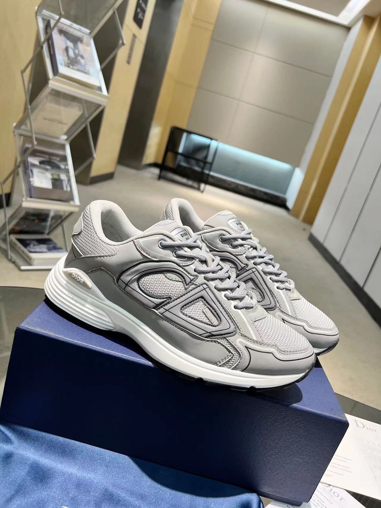 Dior B30 Gray White