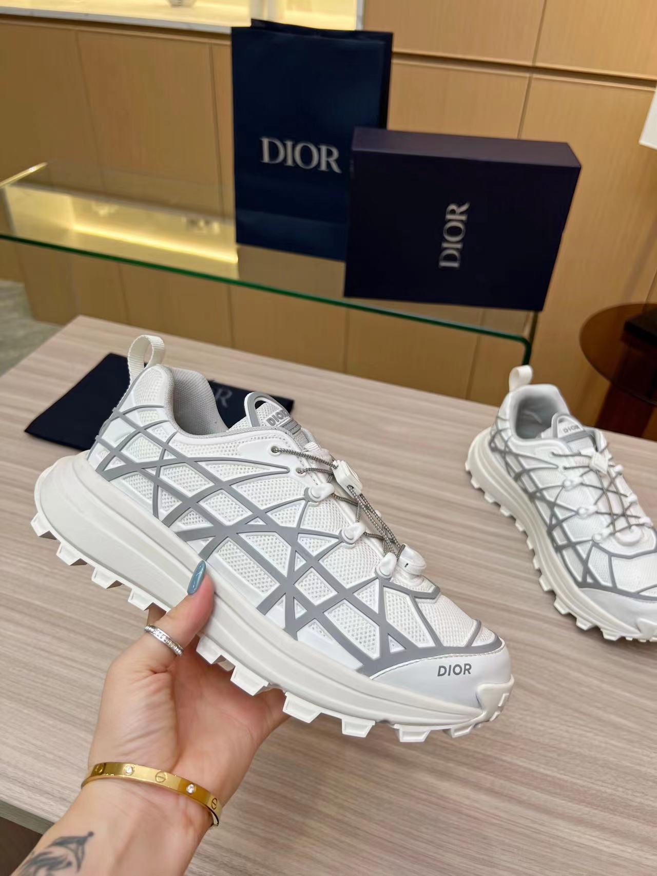 Dior B31 Runner White Grey