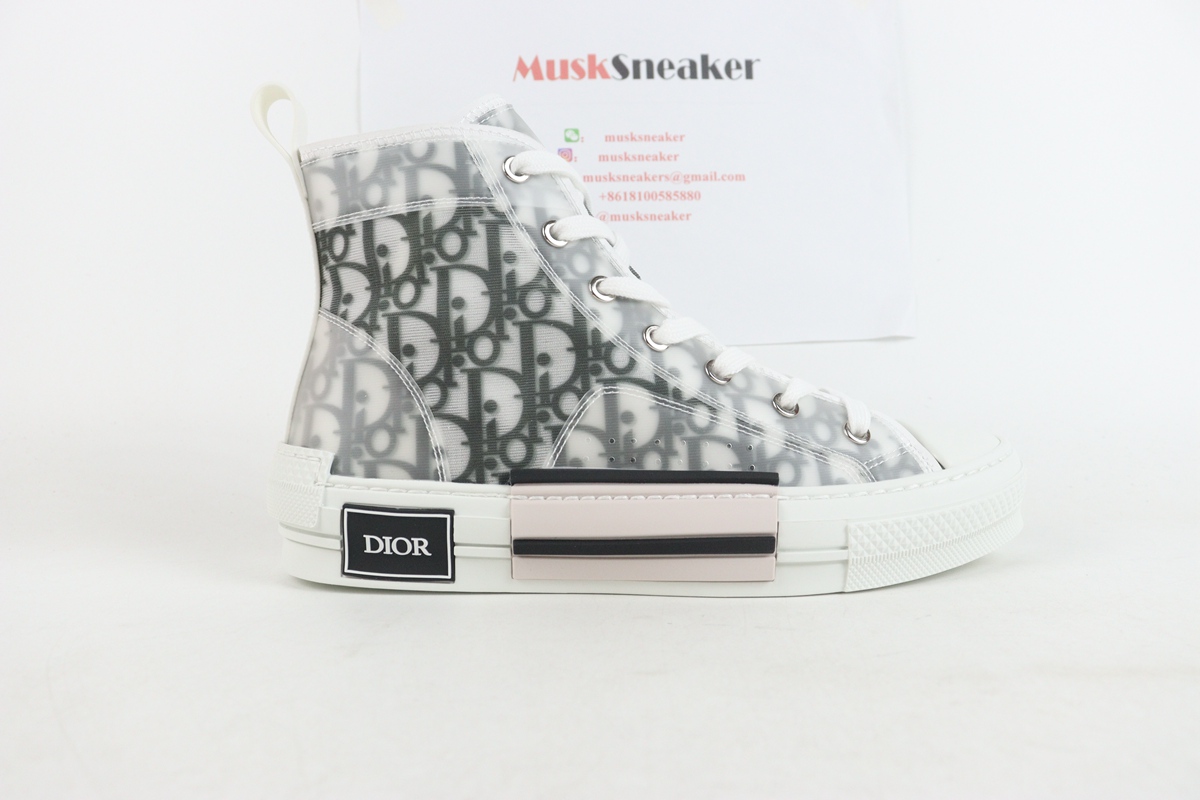 Dior B23 High Top Logo Oblique